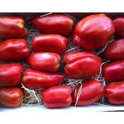 A.Tomate Cornue 1kg