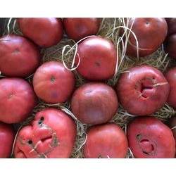 A. Tomates noire de crimée 1kg