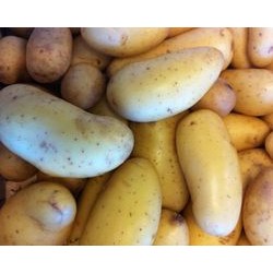 Amandine Pommes de terre 1 kg