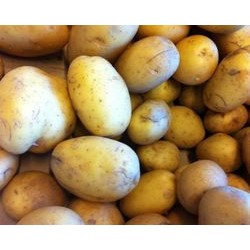 Agata Pommes de terre 1 kg