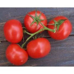 Tomates grappe provence 1 kg